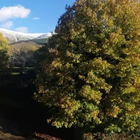 Apto. Rural Candelas. La Covatilla 칸델레리오